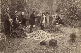 Dvarininkai ir valstiečiai prie obuolių krūvos. XIX a. pab. – XX a. pr. Fot. Stanislovas Kazimieras Kosakovskis (Stanislovas Kazimieras Kasakauskas) © Nacionalinis M. K. Čiurlionio dailės muziejus, ČDM Ta 37